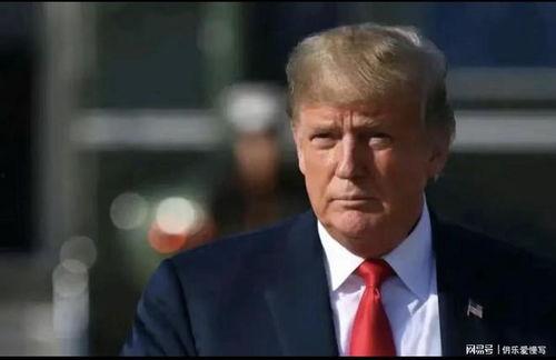 特朗普最新爆料视频,揭秘政治内幕与惊人真相